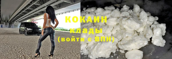 винт Богданович